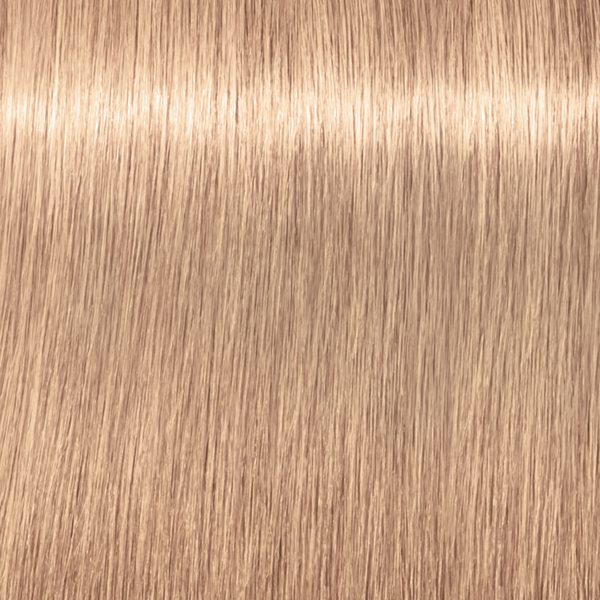 Schwarzkopf Igora Royal Highlifts
