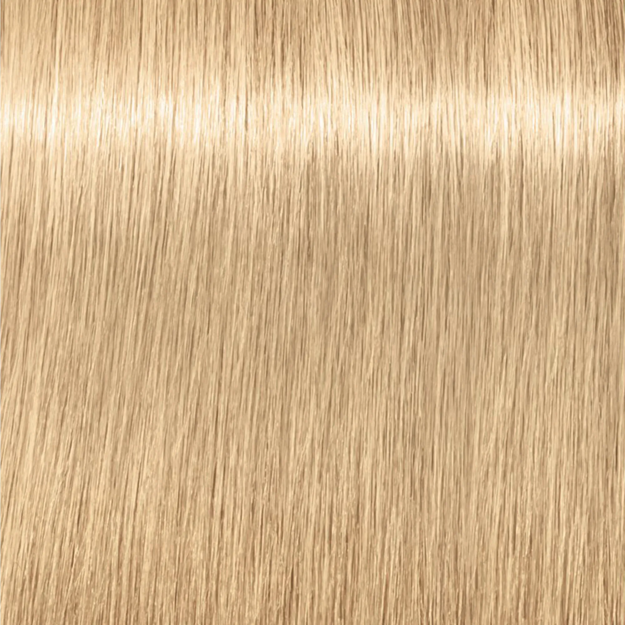 Schwarzkopf Igora Royal Highlifts
