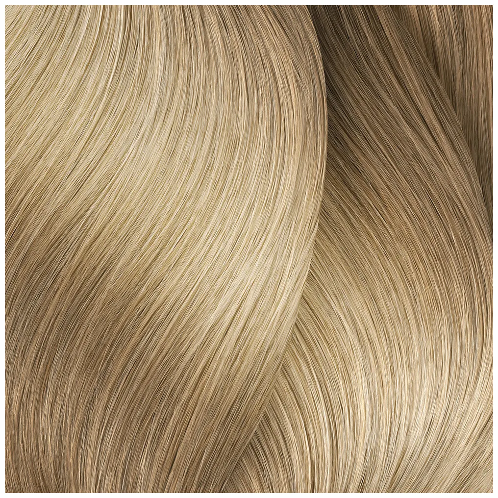 L'Oréal Professionnel Paris iNOA
