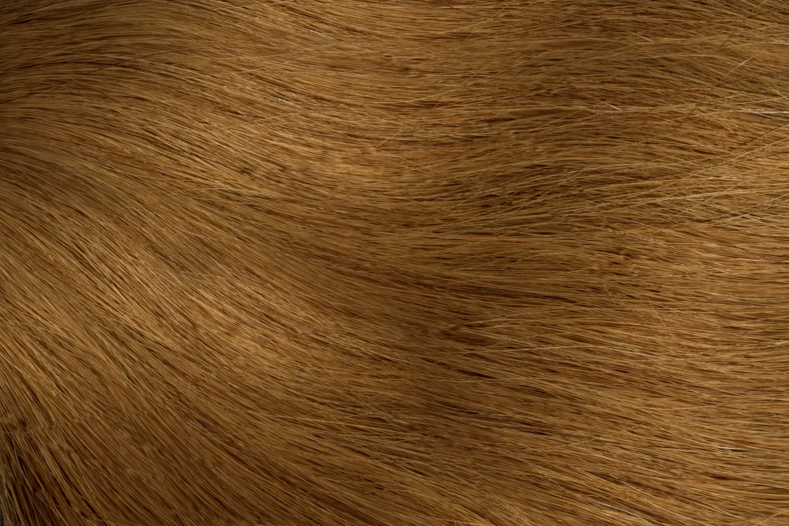 Gold Fever Hair Tapes 25 cm