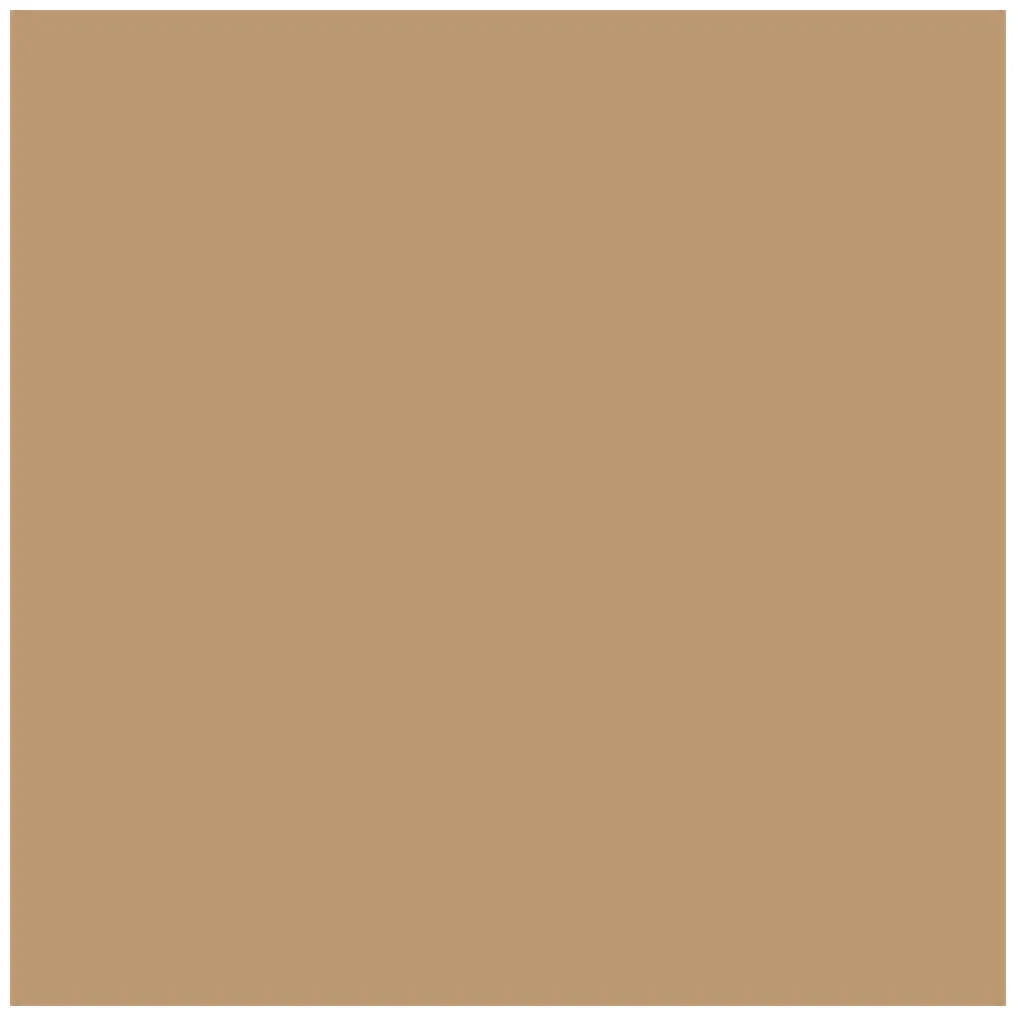 Kryolan Brush-on Concealer