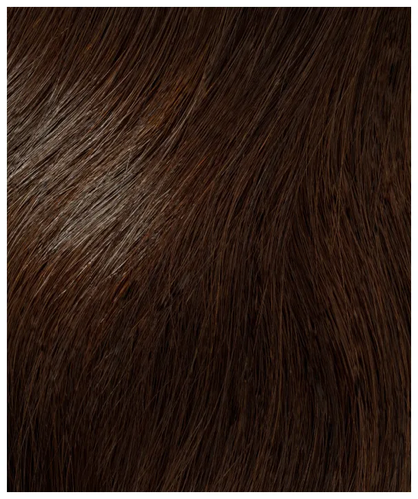 InterHair Premium Extensions 35cm