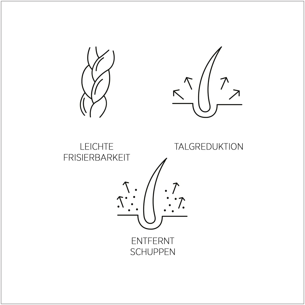 System Professional Lipid Code Purify Shampeeling
