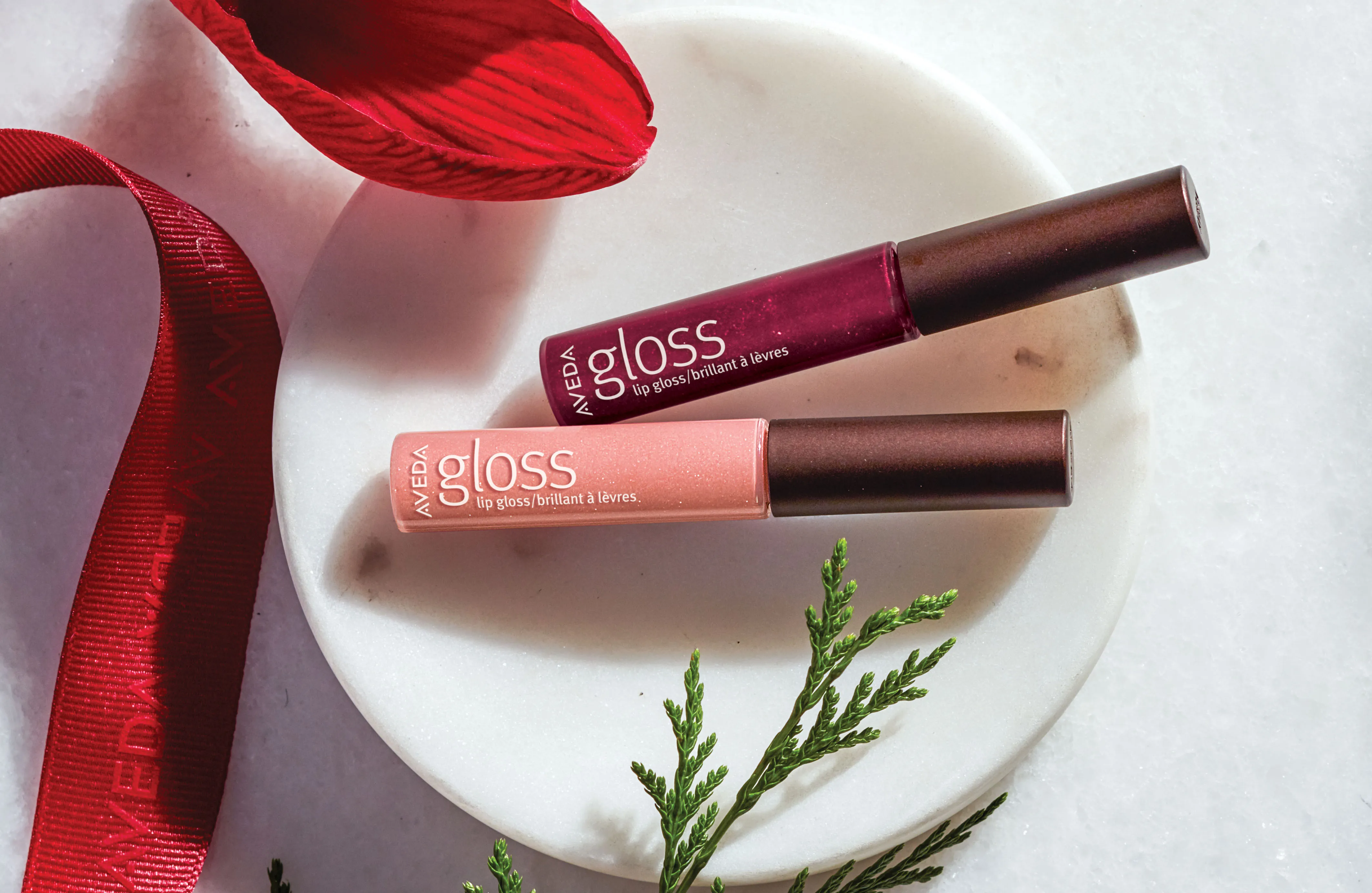 Aveda Lipgloss