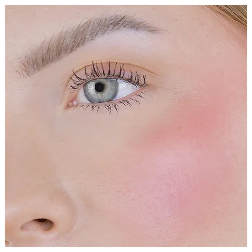 Fleeky Blush Stick