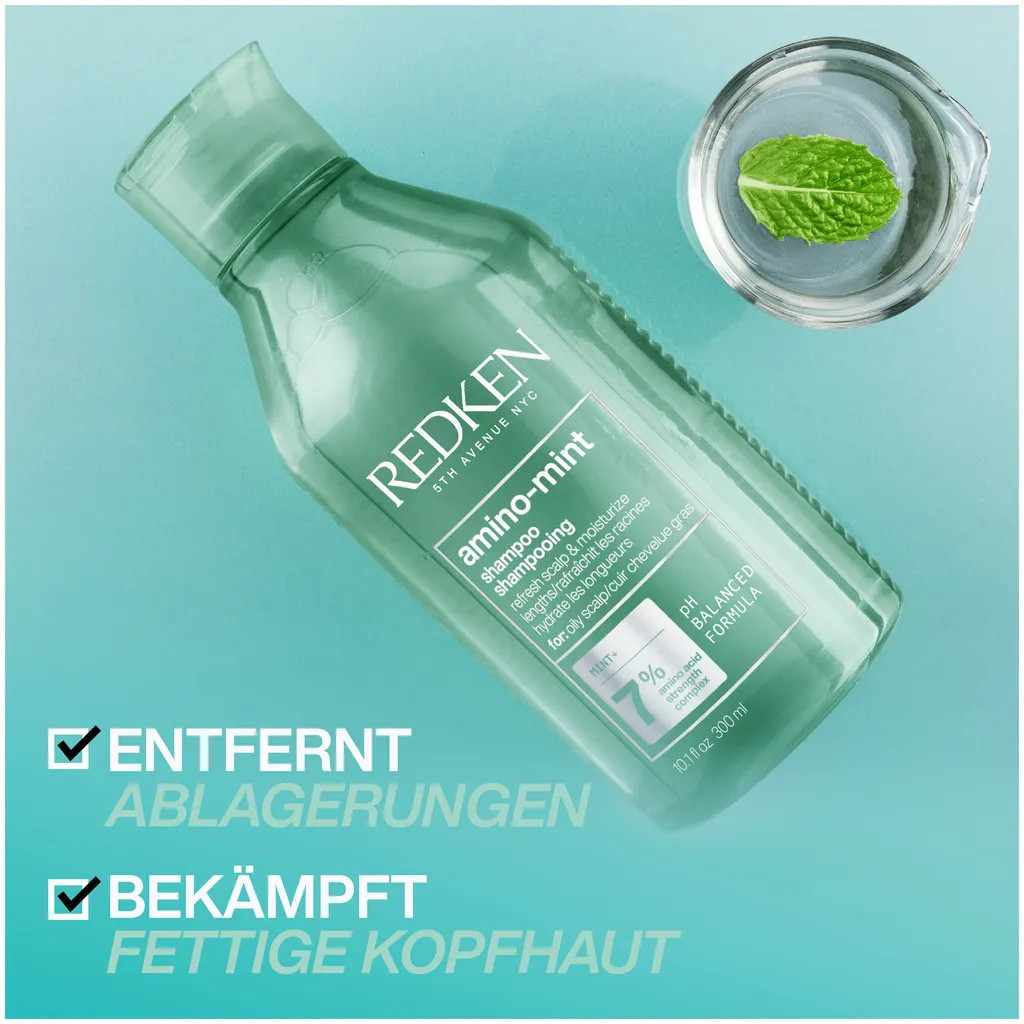 Redken Amino Mint Shampoo