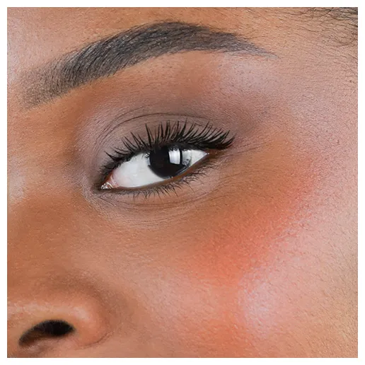 Fleeky Blush Stick