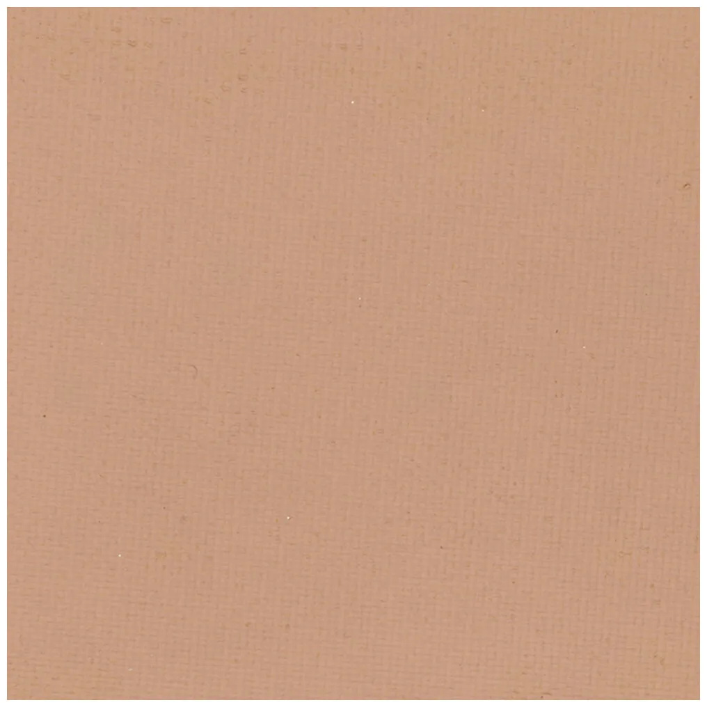 Kryolan Blot Powder