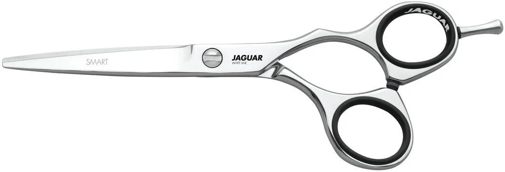 Jaguar Smart - 5,5 Zoll