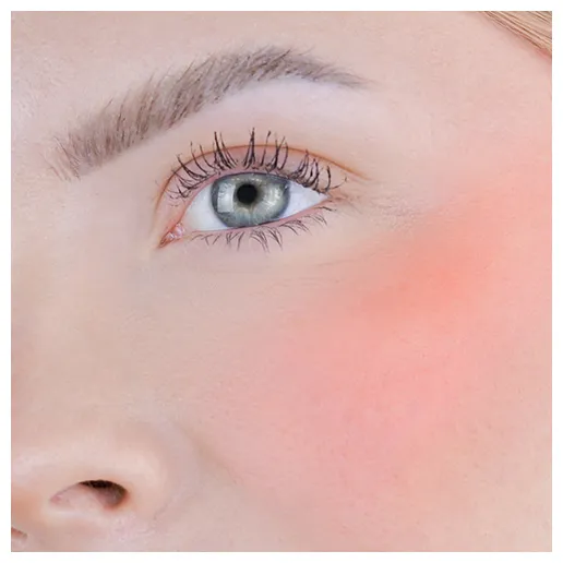 Fleeky Blush Stick