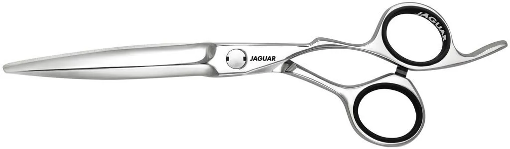 Jaguar Heron