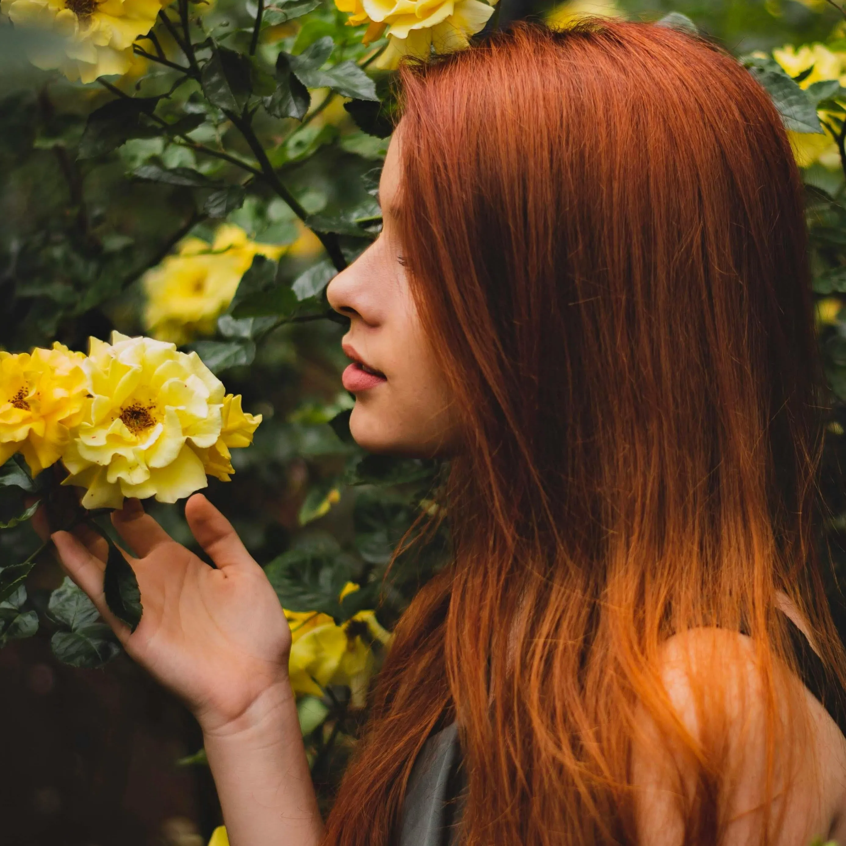 Frau mit Haarfarbe in Kastanie Kupfer hält gelbe Rose