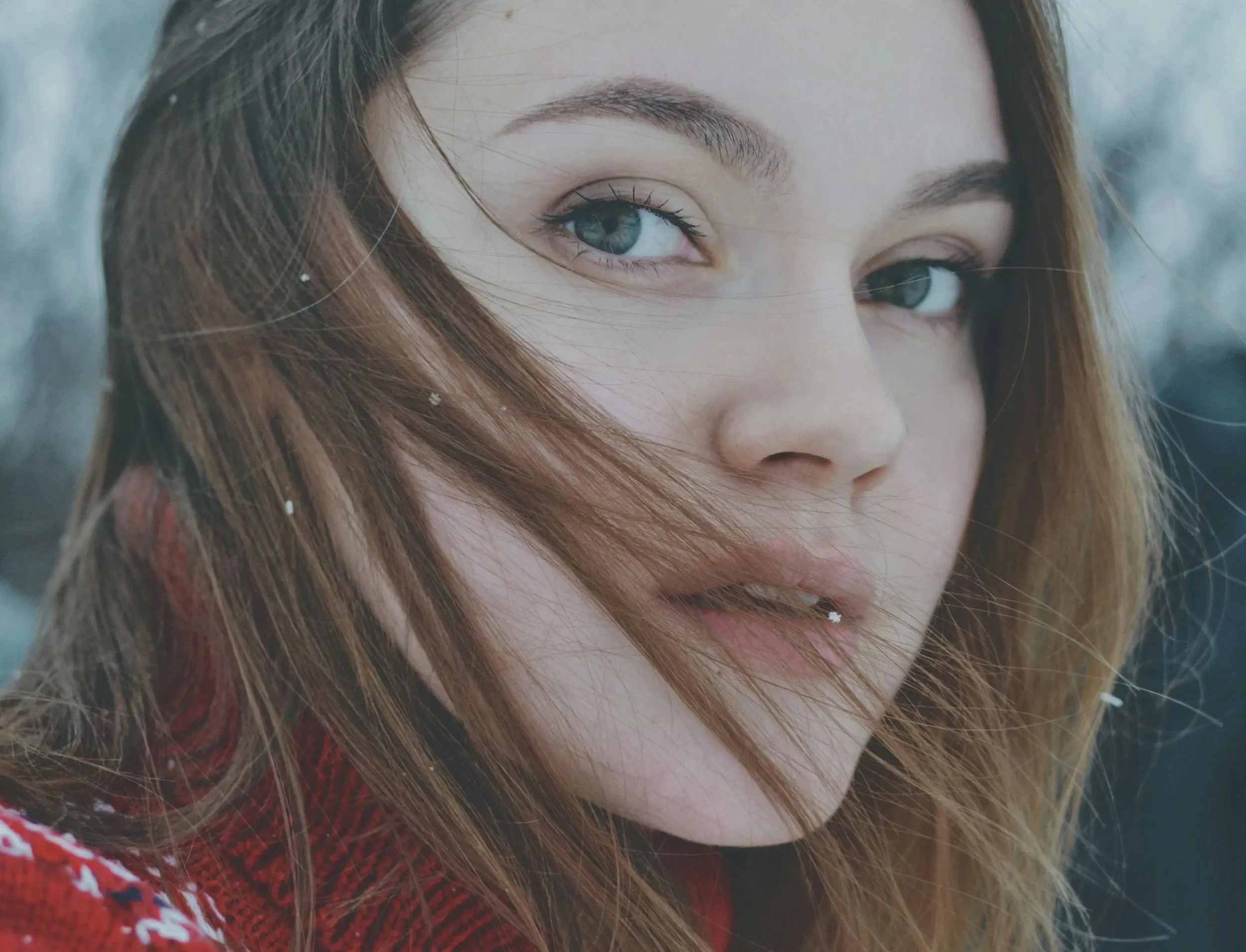 Model