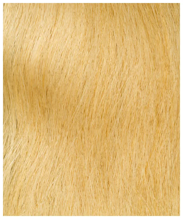 InterHair Premium Extensions 35cm