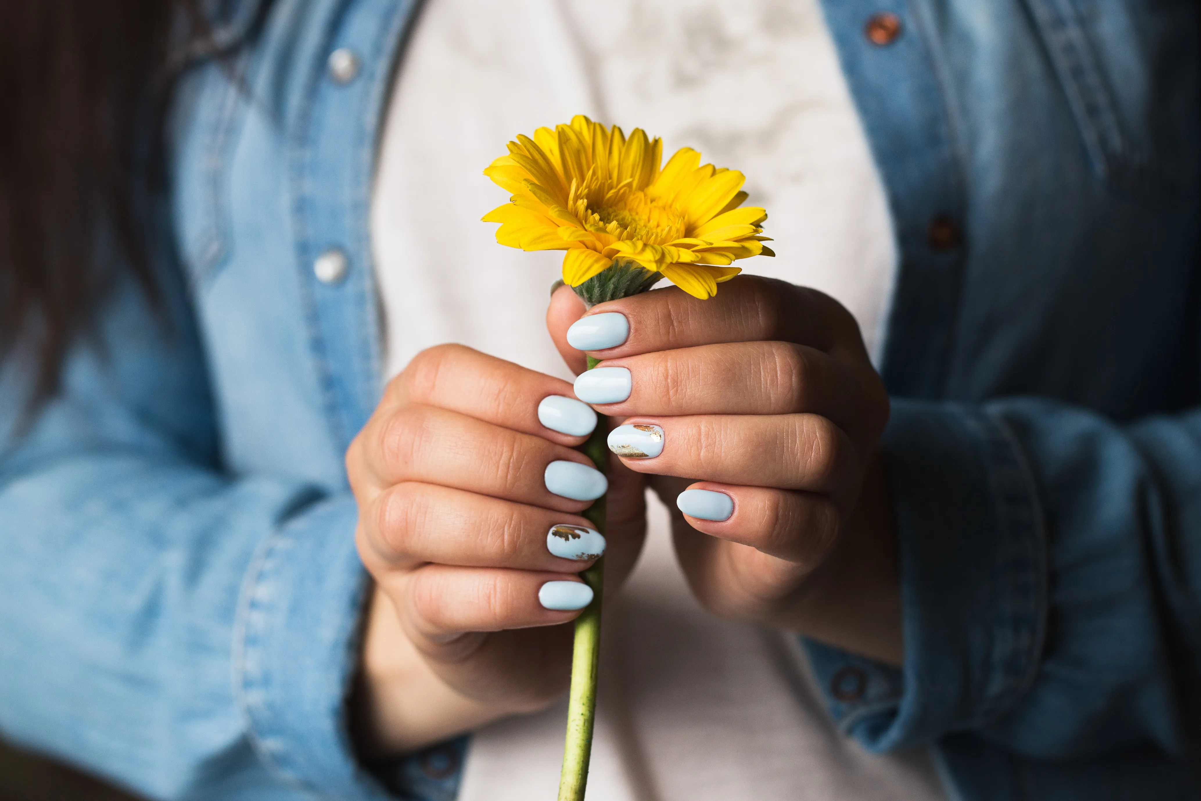 Hände mit blauem Nagellack die eine gelbe Blume halten
