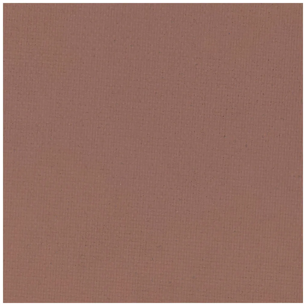 Kryolan Blot Powder