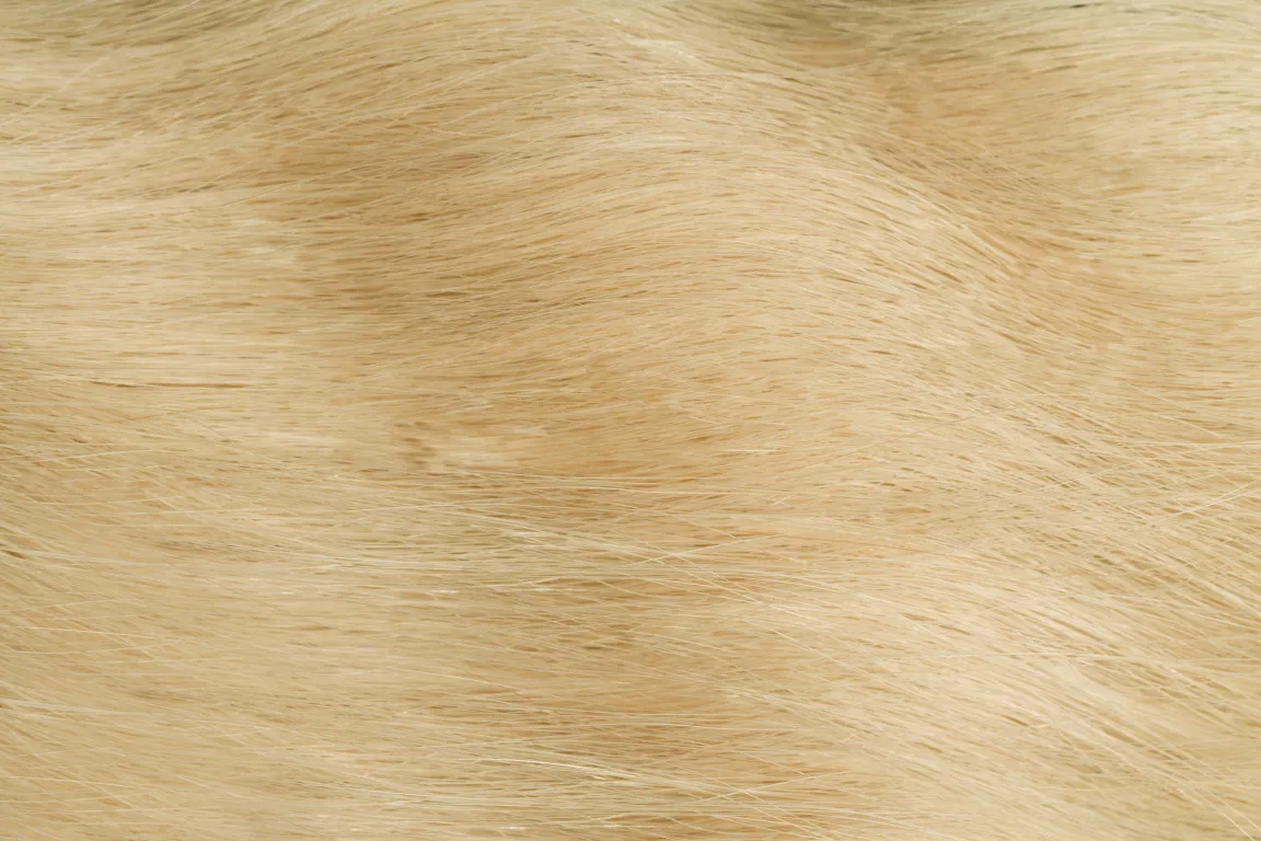 InterHair Classic Extensions 45cm