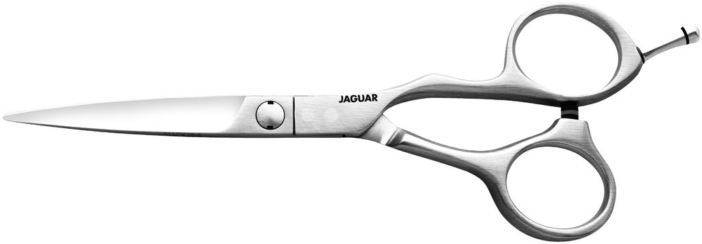 Jaguar Vision