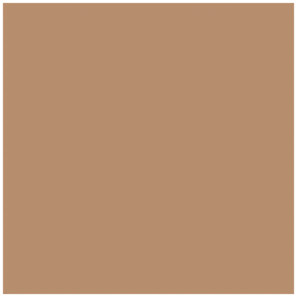 Kryolan Brush-on Concealer