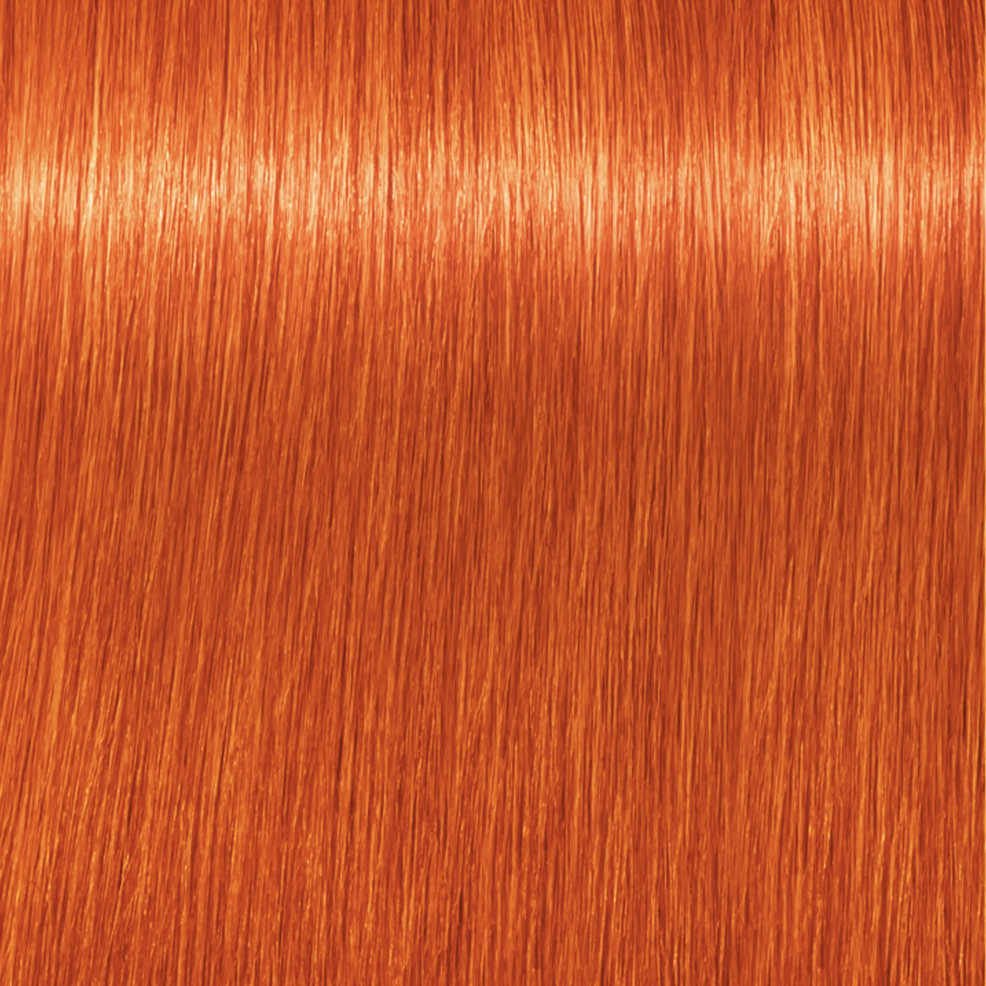 Schwarzkopf Igora Royal Mix