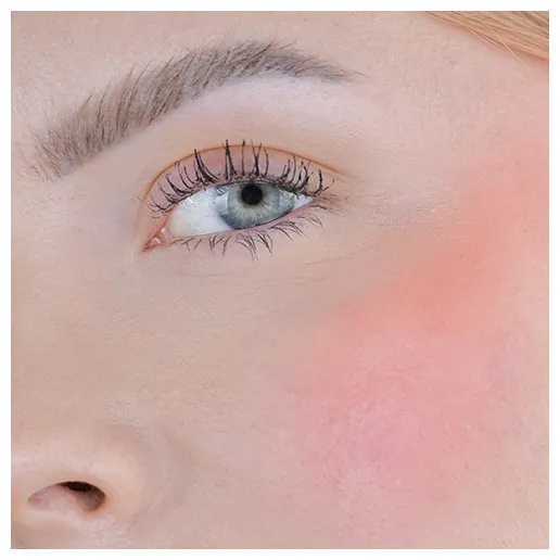Fleeky Blush Stick