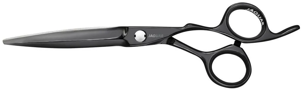 Jaguar Heron Titan