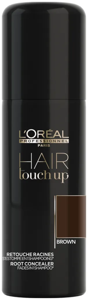 L'Oréal Hair Touch Up