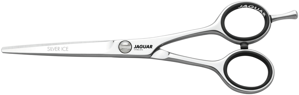 Jaguar Silver Ice