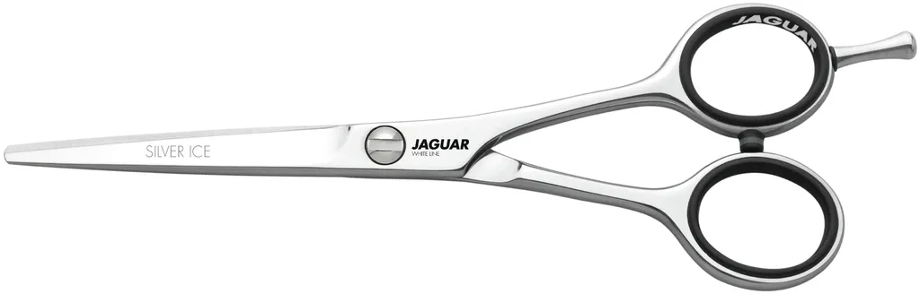 Jaguar Silver Ice
