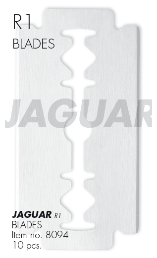 Jaguar R1 - 10 Klingen