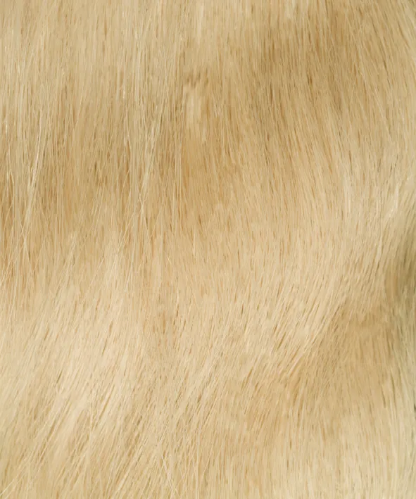InterHair Classic Extensions 55cm