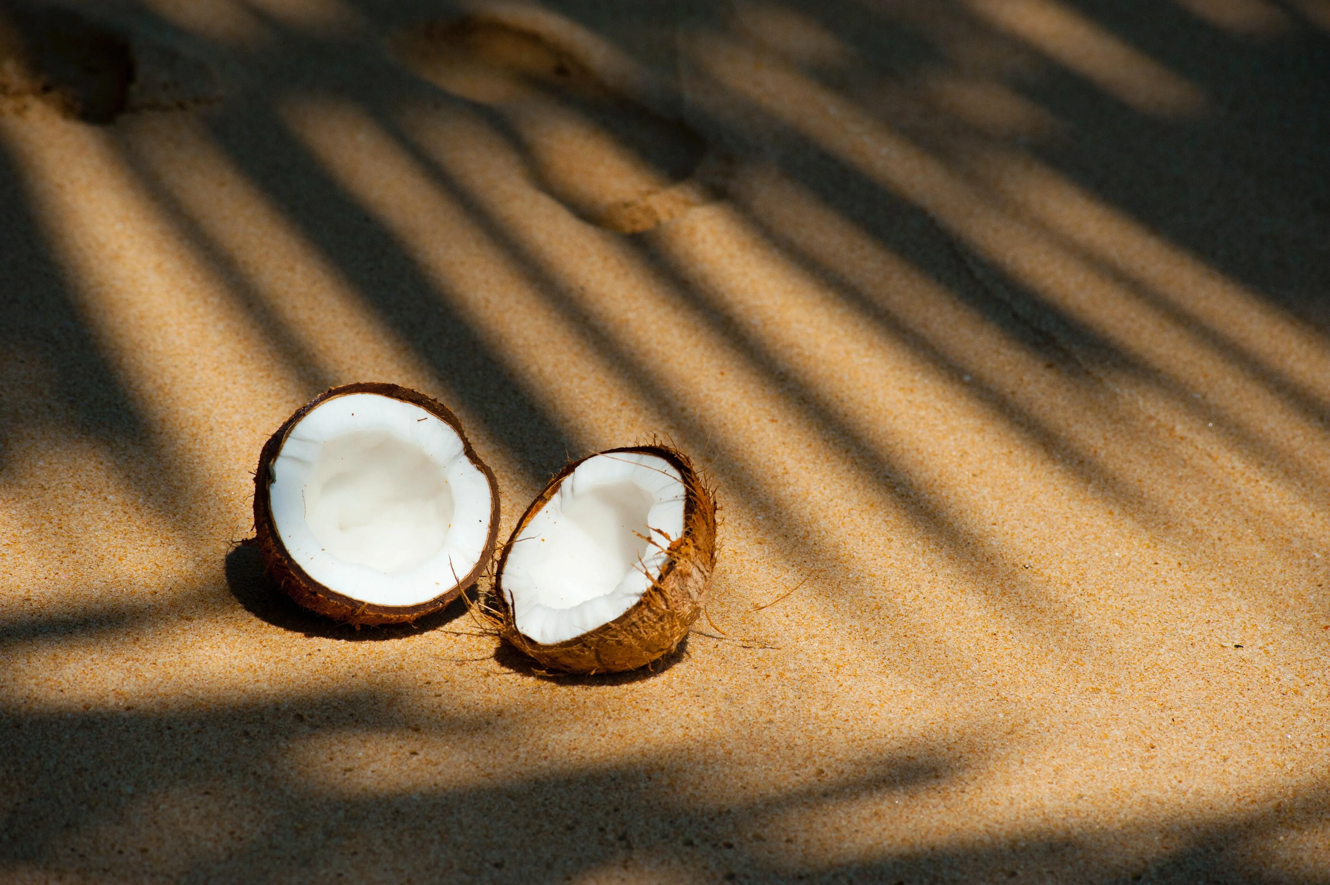 Kokosnuss