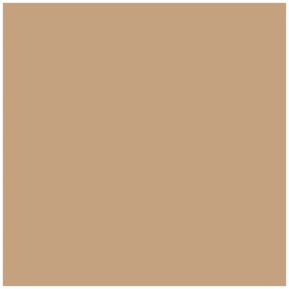 Kryolan Brush-on Concealer