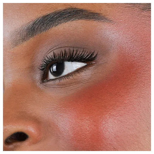 Fleeky Blush Stick