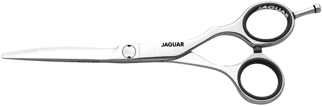 Jaguar Evolution